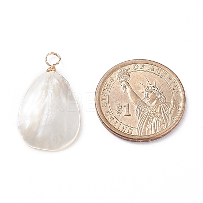 Natural Trochid Shell/Trochus Shell Pendants X-PALLOY-JF01393-1