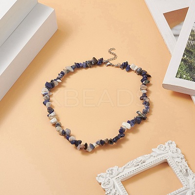 Natural Sodalite Chip Beaded Necklaces with 304 Stainless Steel Lobster Claw Clasp & Chain Extender NJEW-JN04225-02-1
