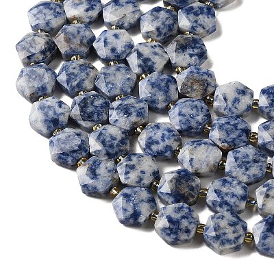 Natural Blue Spot Jasper Beads Strands G-H344-B02-01-1