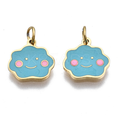 316 Surgical Stainless Steel Enamel Charms STAS-S116-366G-1