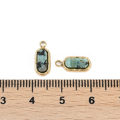 Natural African Turquoise(Jasper) Rectangle Charms STAS-I325-141B-G-1