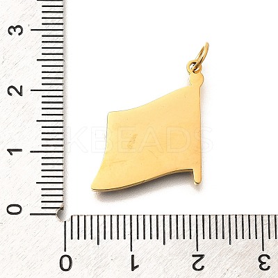 Pride 304 Stainless Steel Enamel Pendants LS-STAS-B079-01G-08-1