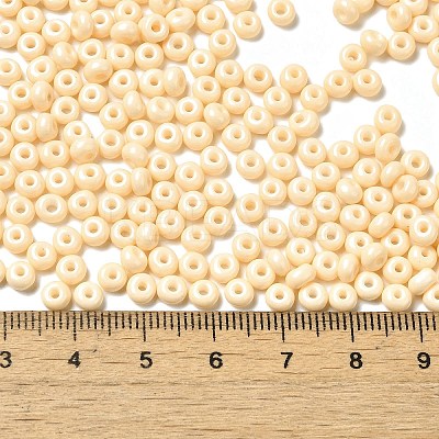 Baking Paint Glass Seed Beads X1-SEED-B001-02A-09-1