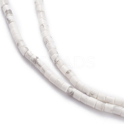 Natural Howlite Beads Strands G-H255-03-1