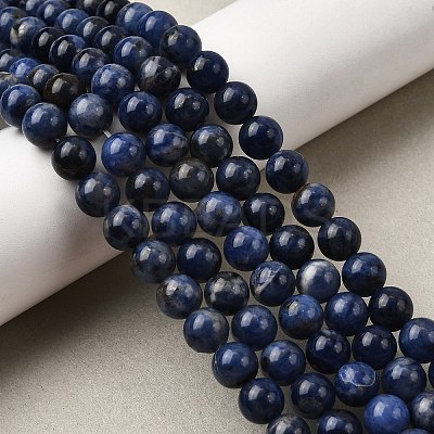 Natural Sodalite Beads Strands G-P582-8mm-02-1