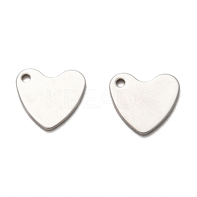 Non-Tarnish 201 Stainless Steel Charms STAS-I172-29P-1