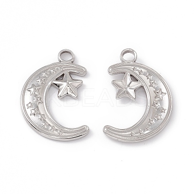 Non-Tarnish 304 Stainless Steel Pendants X-STAS-K242-02P-1
