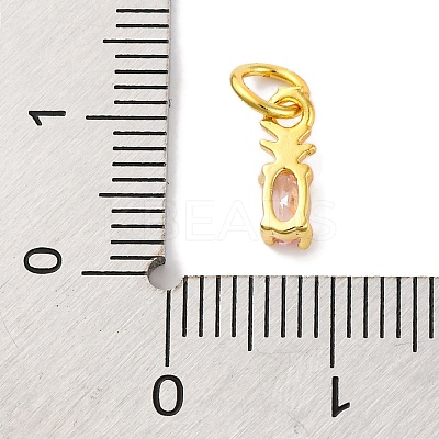 Rack Plating Brass Micro Pave Cubic Zirconia Charms KK-F881-03G-06-1