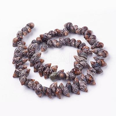 Natural Spiral Shell Beads Strands BSHE-L036-31-1