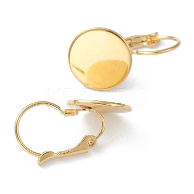 304 Stainless Steel Leverback Earring Findings KK-H152-08B-G-1