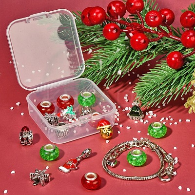 DIY European Bracelet Making Kit DIY-YW0005-87-1