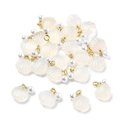 Natural Agate Shell Shaped Pendants LS-G-U025-06G-1