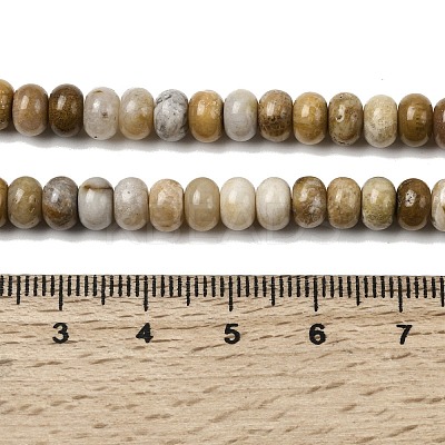 Natural Fossil Coral Beads Strands G-A280-A08-01-1