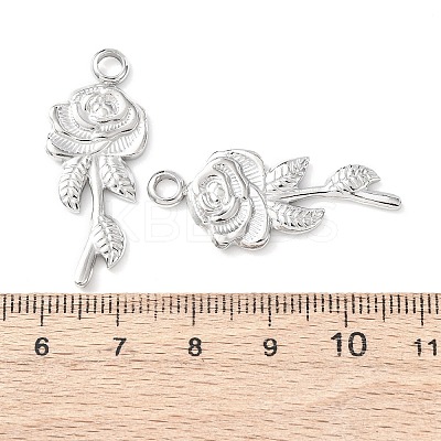 304 Stainless Steel Pendants LS-STAS-D202-07P-1