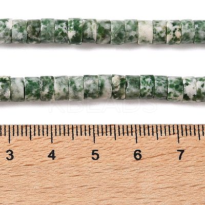Natural Green Spot Jasper Beads Strands G-M420-A18-01-1