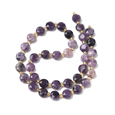 Natural Lepidolite Beads Strands G-C116-A09-02-1