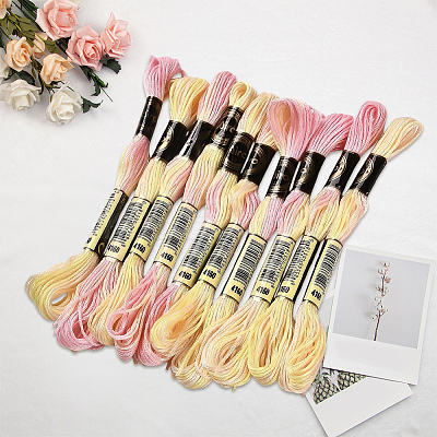 10 Skeins 6-Ply Polyester Embroidery Floss OCOR-CY0002-99G-1