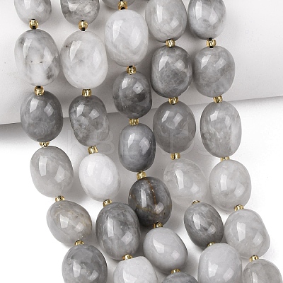 Natural Cloudy Quartz Beads Strands G-G453-D08-01-1