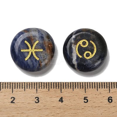 12 Constellation Natural Blue Spot Jasper Cabochons Set G-Q190-03B-1