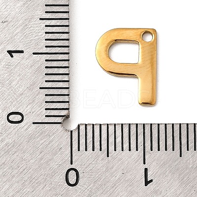 304 Stainless Steel Charms LS-STAS-B093-12G-P-1