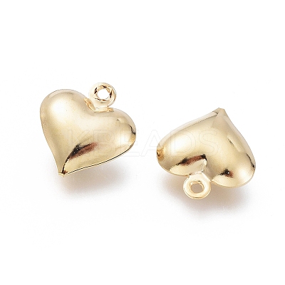 304 Stainless Steel Charms X-STAS-H413-16G-1