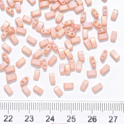 FGB 2-Hole Baking Paint Glass Seed Beads SEED-S031-M-596-1