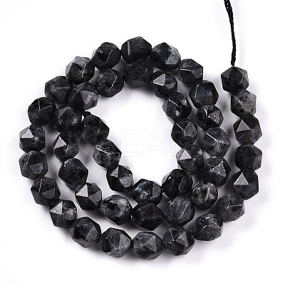 Natural Larvikite Beads Strands G-T139-8mm-51-1