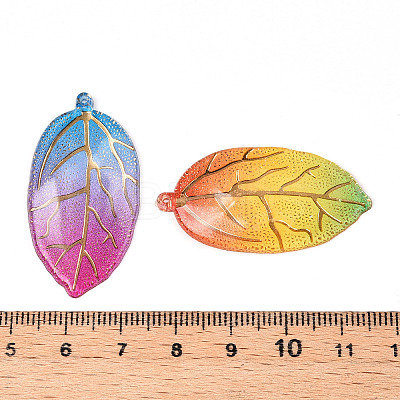 Printed Translucent Acrylic  Pendants OACR-T028-24-1