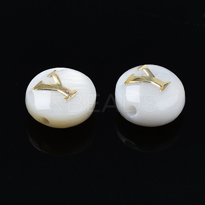 Natural Freshwater Shell Beads SHEL-S278-036Y-1