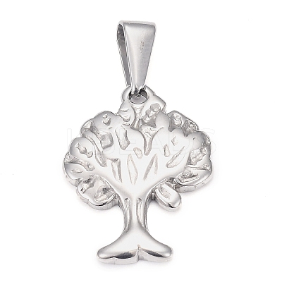 Tarnish Resistant 304 Stainless Steel Pendants STAS-H110-17P-1