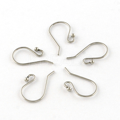 Tarnish Resistant 201 Stainless Steel Earring Hooks STAS-R063-33-1