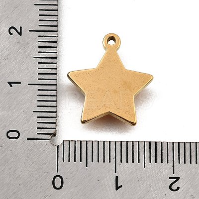 304 Stainless Steel Micro Pave Rhinestone Pendants Charms STAS-K256-28G-03-1