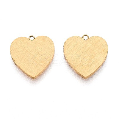 304 Stainless Steel Pendants STAS-N109-168G-1