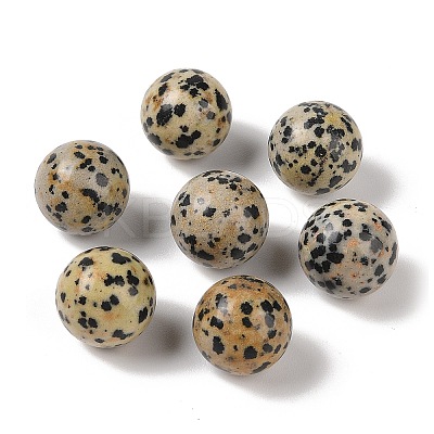 Natural Dalmatian Jasper No Hole Sphere Beads G-K353-04D-16-1