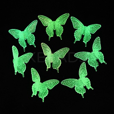 Luminous Transparent Acrylic Beads MACR-L015-12-1