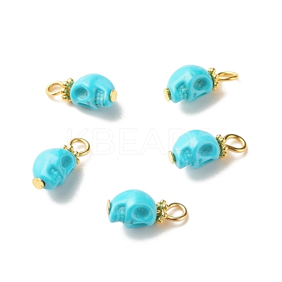 Dyed Synthetic Turquoise Charms PALLOY-JF01452-02-1