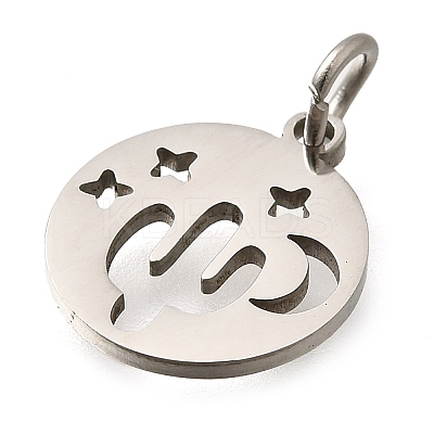 304 Stainless Steel Charms STAS-Z119-07P-1