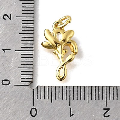 Brass Micro Pave Cubic Zirconia Pendants KK-Z102-04G-02-1