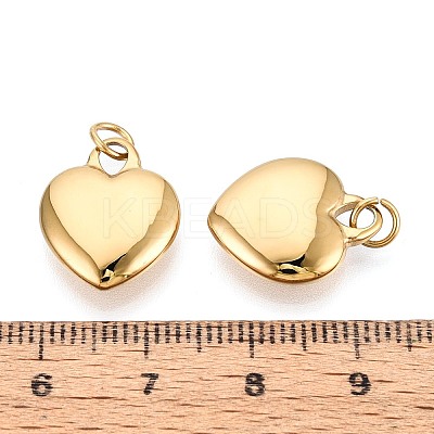 316 Surgical Stainless Steel Pendants STAS-N097-032-1