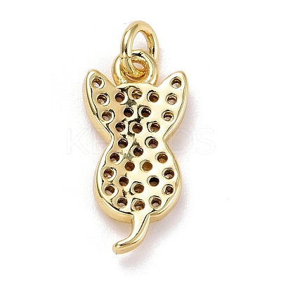 Brass Micro Pave Clear Cubic Zirconia Charms ZIRC-E165-09G-1