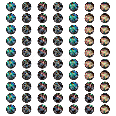 70Pcs Natural Paua Shell & Acrylic Cabochons SHEL-BC0001-047-1