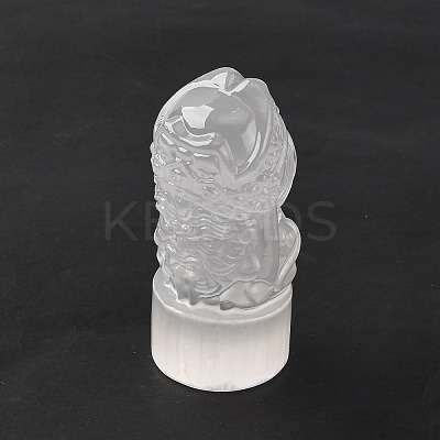 Natural Selenite Figurines DJEW-Q006-01N-1