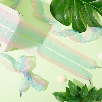 2 Pairs 2 Style Gradient Color Nylon Chiffon Shoe Laces FIND-GF0004-83B-1