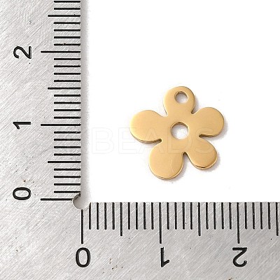 201 Stainless Steel Charms STAS-E211-13G-1