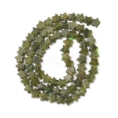Natural Chinese Jade Beads Strands G-H087-C04-01-1