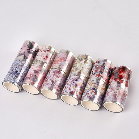 2 Bags 2 Styles PET Decorative Stickers DIY-CP0012-95-1