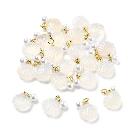 Natural Agate Shell Shaped Pendants LS-G-U025-06G-1