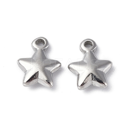 Non-Tarnish 304 Stainless Steel Charms X-STAS-C066-19P-1