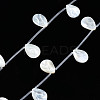 Natural Freshwater Shell Beads Strands SHEL-N026-153A-01-1