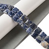Natural Blue Spot Jasper Beads Strands G-L596-A07-01-2